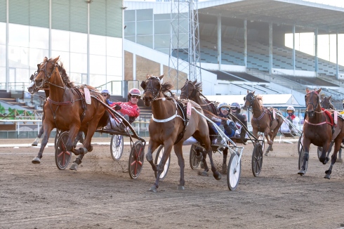 Cyber Lane är klar för final i Paralympiatravet sedan han vunnit den andra deltävlingen på Jägersro. Foto av Mikael Rosenquist/TR Bild